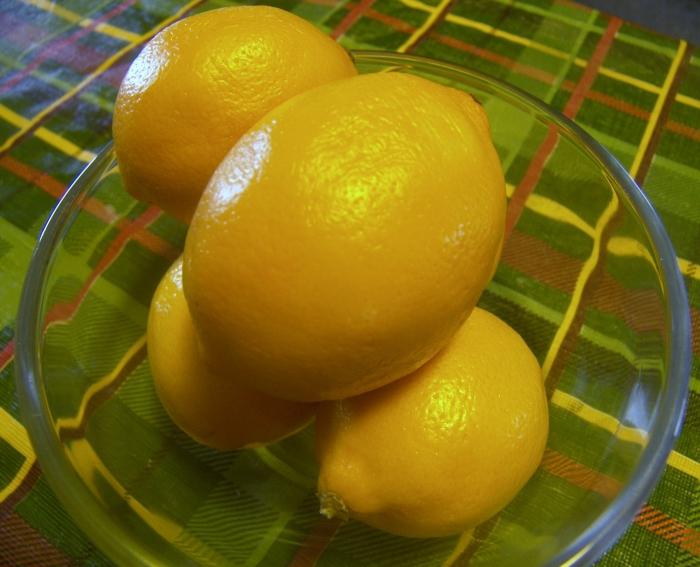 Zitrone zu Hause. Anbau