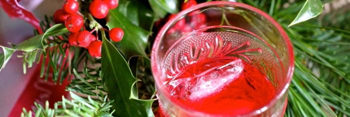 Cranberry Tinktur auf Wodka: die Art der Zubereitung