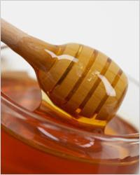 Rezept für Viburnum mit Honig - Anwendung und Indikationen