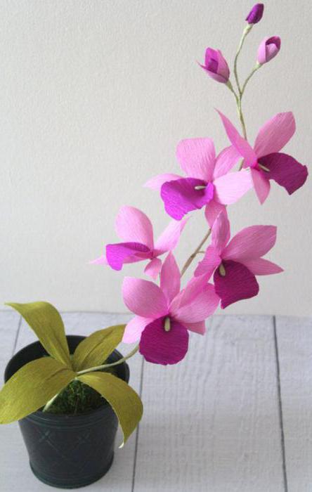 Blumen mit eigenen Händen: eine Orchidee aus Wellpappe