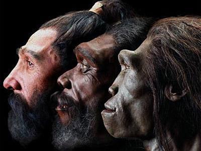 Australopithecus ist