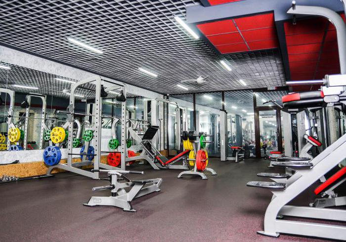 Clubs in Omsk: die besten Fitness-Center