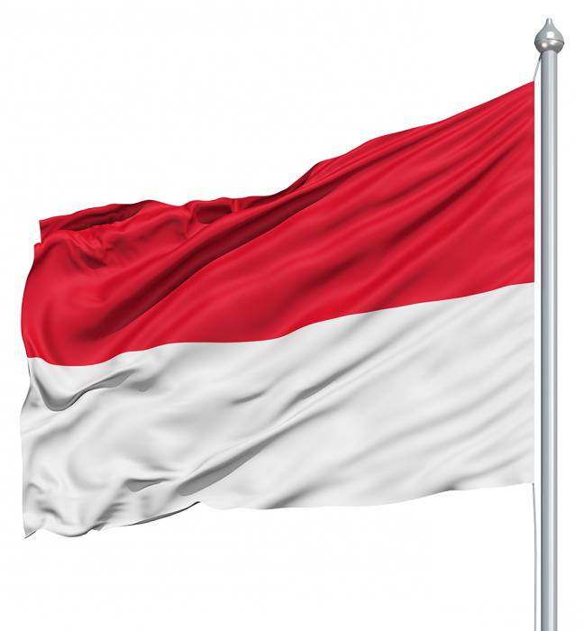 Flagge von Indonesien: Spezies, Bedeutung, Geschichte